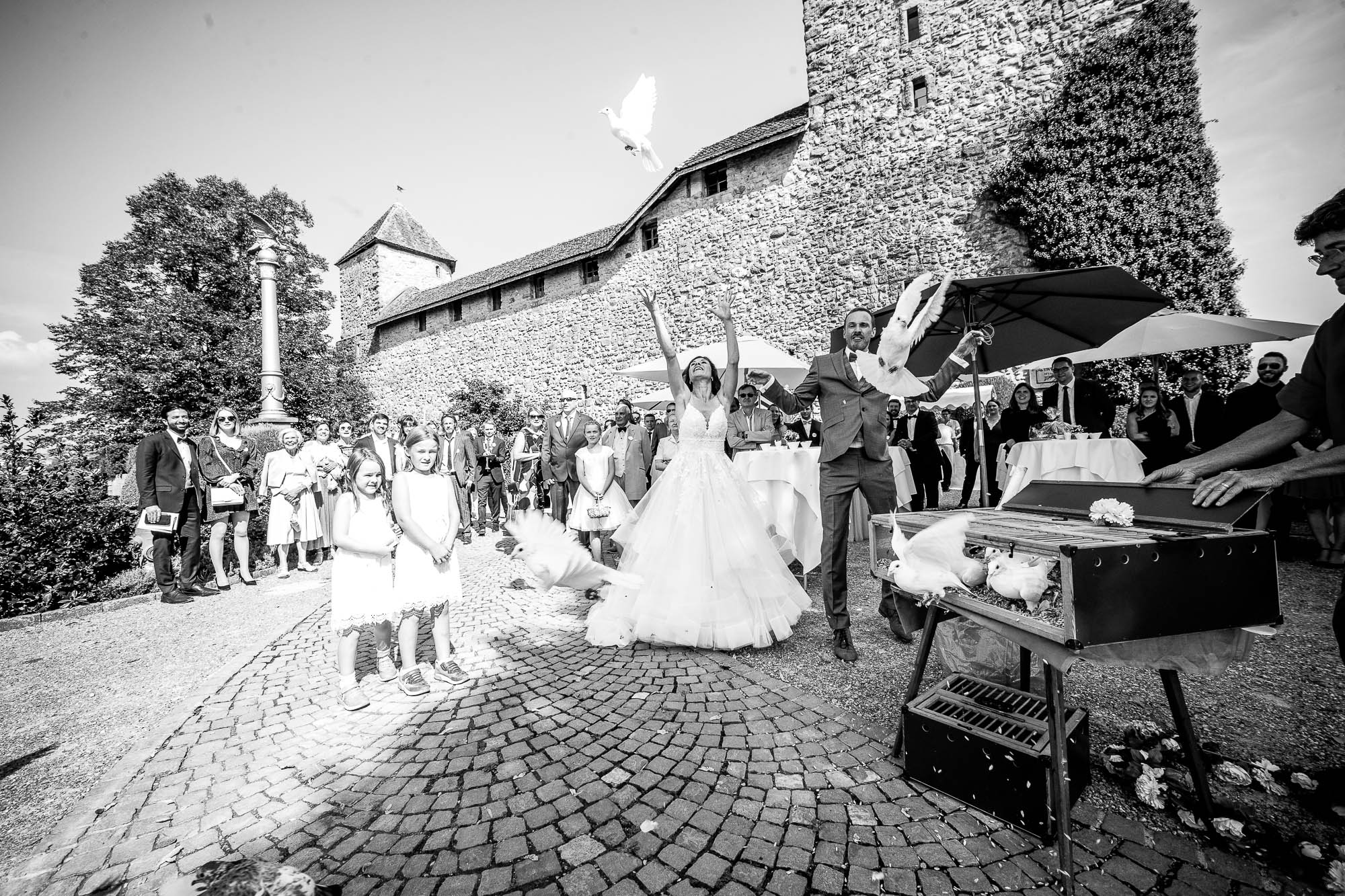 Export x3 1DX23098 Hochzeit 2020 Muriel & Trevor